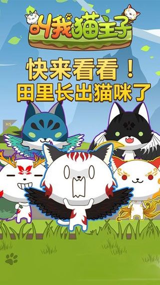 叫我猫主子安卓版